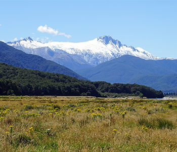 Autocamper i New Zealand, Rejs til New Zealand, Rejs i New Zealand på egen hånd - Rejsecenter Djursland klarer alt det praktiske!