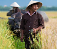 Vietnam Vietnam - Rejsecenter Djursland