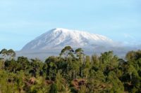 nature-1821576_640 Australien og NZ - Rejsecenter Djursland