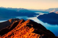 New Zealand NZ - Rejsecenter Djursland