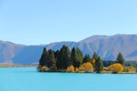 NZ New Zealand - Rejsecenter Djursland