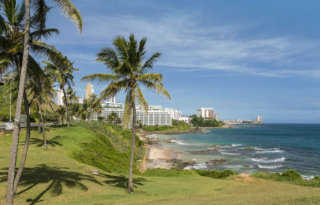 strand brazil brasilien - - Rejsecenter Djursland