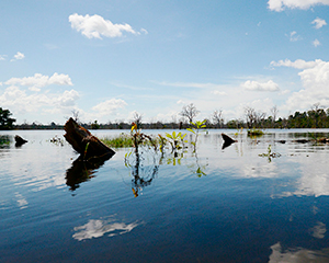 Siem Riep med www.rejsecenterjdjursland.dk