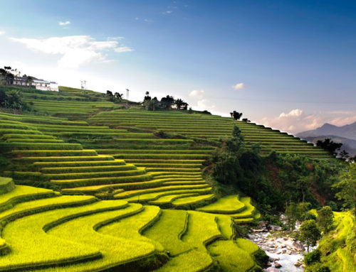 Vietnam fra nord til syd