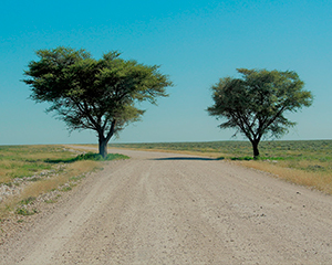 Namibia www.rejsecenterdjursland.dk