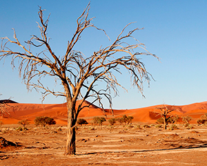 kalahari - www.rejsecenterdjursland.dk