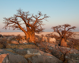 Namibia - www.rejsecenterdjursland.dk