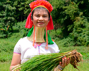 rejse til Thailand - www.rejsecenterdjursland.dk