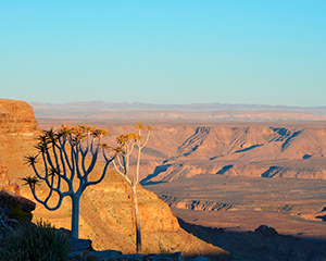 En rejse fra Sydafrika til Zimbabwe - www.rejsecenterdjursland.dk