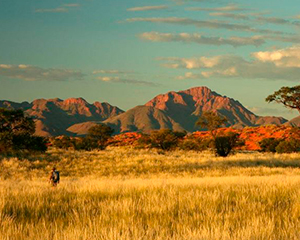 REjs til Namibia - www.rejsecenterdjursland.dk