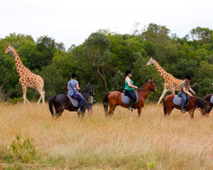 safari i Kenya - www.rejsecenterdjursland