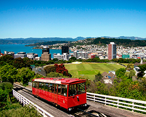 wellington nz - www.rejsecenterdjursland.dk