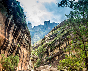 Ukuhlamba Drakensberg Park - www.rejsecenterdjursland.dk