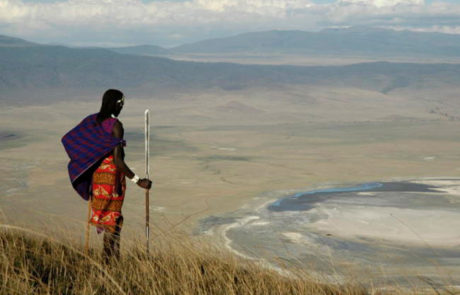 Østafrika | Klassisk safari i Tanzania - www.rejsecenterdjursland.dk