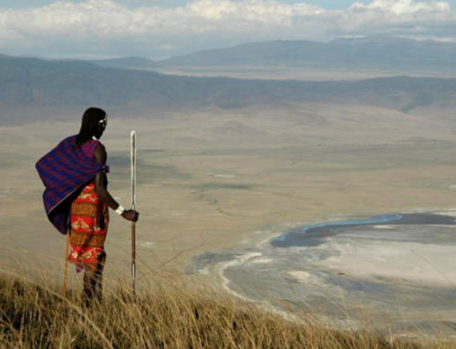 Klassisk safari i Tanzania