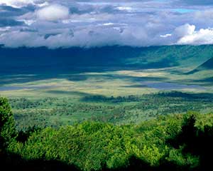 Klassisk safari i Ngorongoro-krateret - www.rejsecenterdjursland.dk