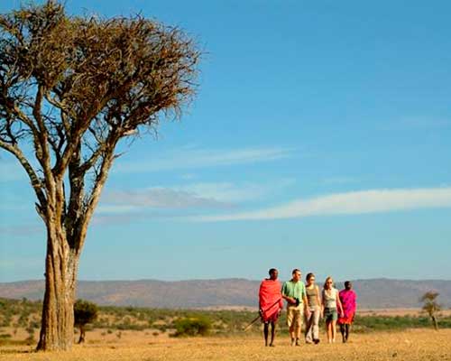 safari i Kenya | www.rejsecenterdjursland.dk