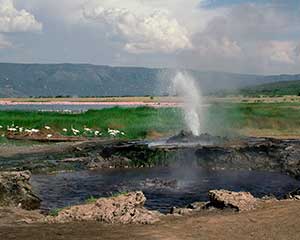Klassisk safari i Lake Manyara - www.rejsecenterdjursland.dk