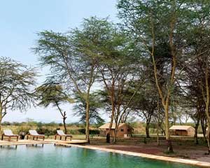 Rejser til Lake Manyara - www.rejsecenterdjurland.dk