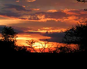 Rejser til Lake Manyara - www.rejsecenterdjurland.dk