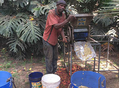Michael tager første skridt til en god kop kaffe Mama Leos kaffeplantage - Tanzania - www.rejsecenterdjursland.dk