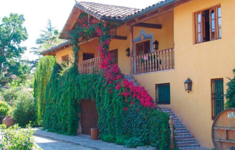 Vin og kulturrejse til Chile og Argentina