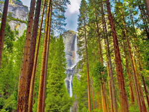 Yosemite - Vestens højdepunkter