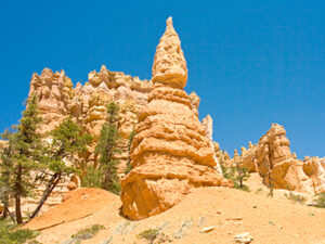 Bryce nationalpark Kør Selv i USA - Vestens Højdepunkter