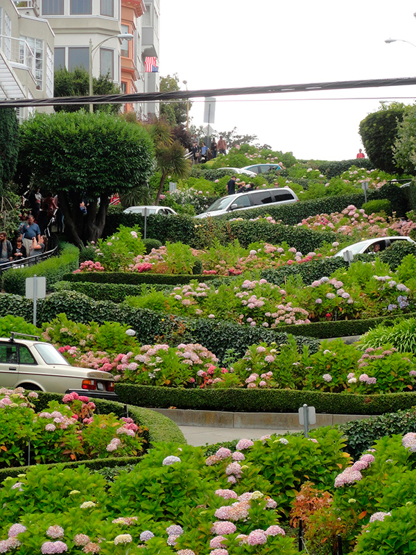 Lombard Street SF - Californien Rundt