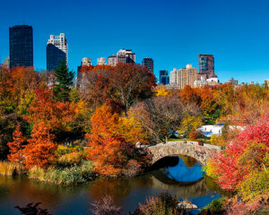 Central Park NY