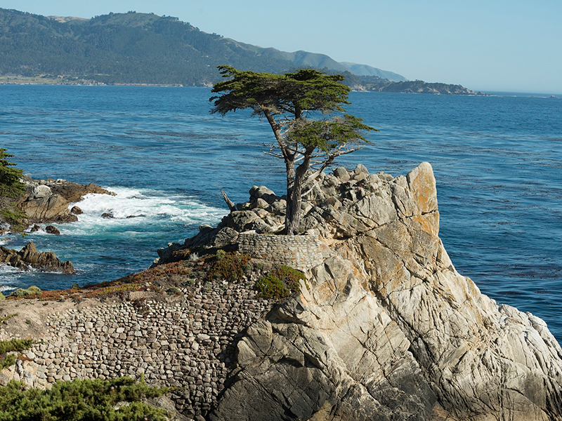 Pebbles Beach 17-mile drive